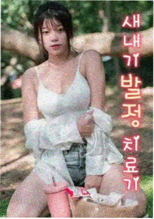 梦华录